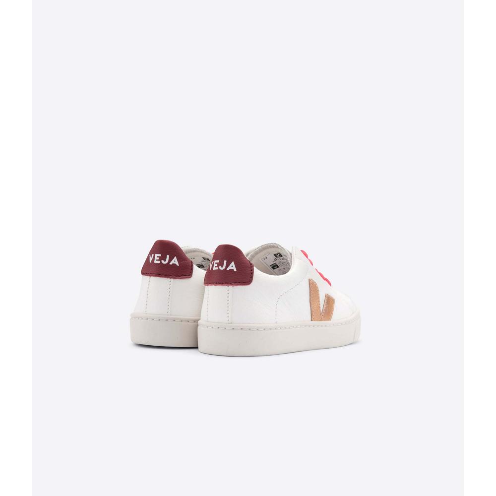 Veja ESPLAR LEATHER Sneakers Kinderen Gold/Red/White | NL 810OKI